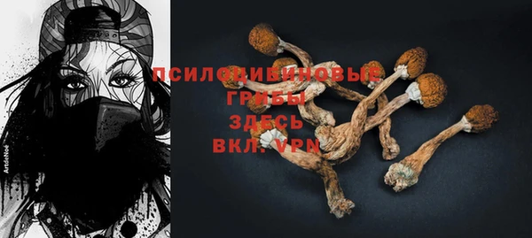 амф Бугульма