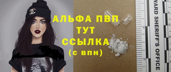 дурь Бородино