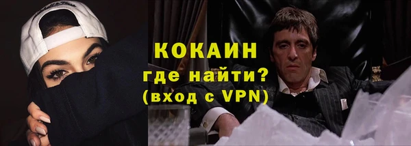 дурь Бородино