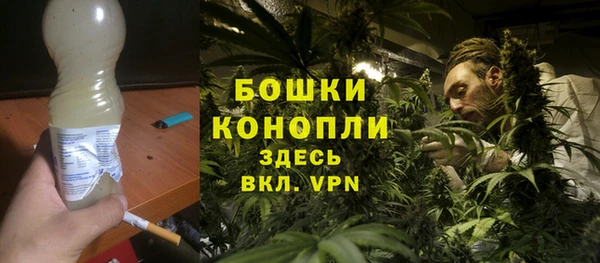 дурь Бородино