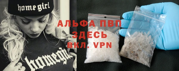 дурь Бородино