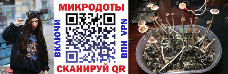 Купить закладки  Комсомольск  Псилоцибиновые грибы Psilocybe 